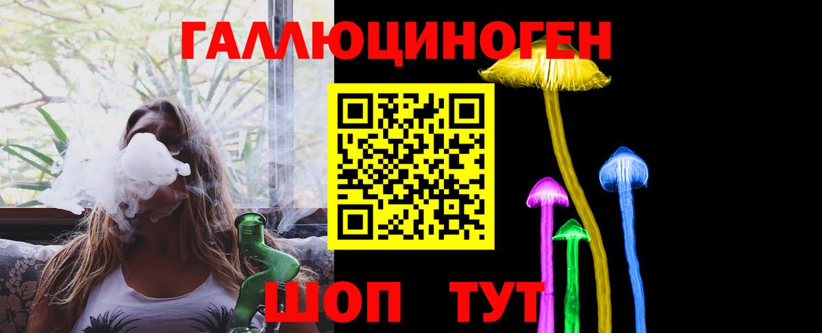 Галлюциногенные грибы Psilocybe Похвистнево
